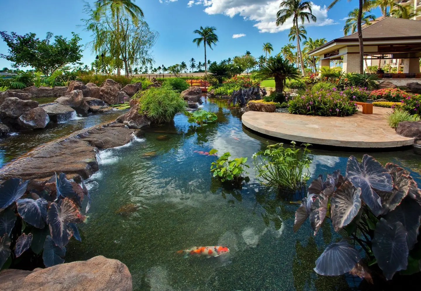 Koi ponds and gardens