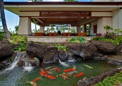 Koi ponds and gardens