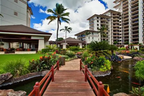 Gardens, paths and lagoon pool between the towers